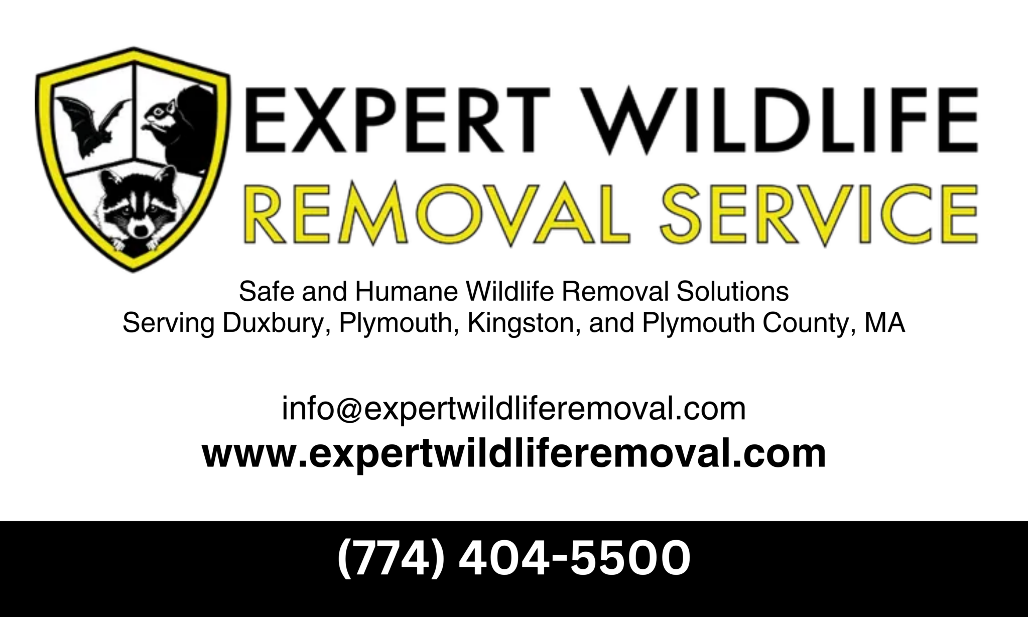 Home Plympton Athletic Youth Sports